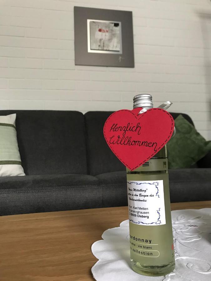 Apartmán Haus Mittelberg Olsberg Exteriér fotografie