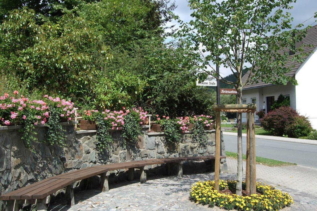 Apartmán Haus Mittelberg Olsberg Exteriér fotografie