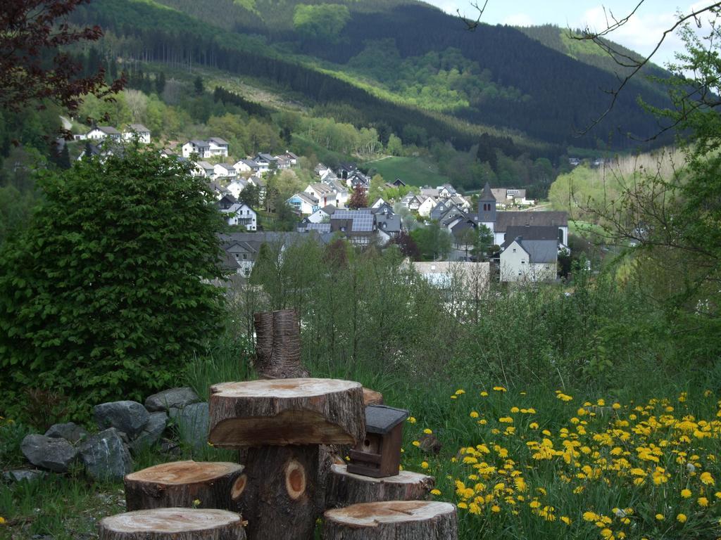 Apartmán Haus Mittelberg Olsberg Pokoj fotografie