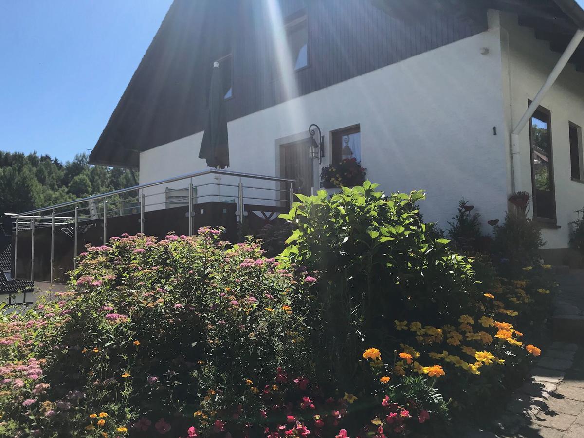 Apartmán Haus Mittelberg Olsberg Exteriér fotografie