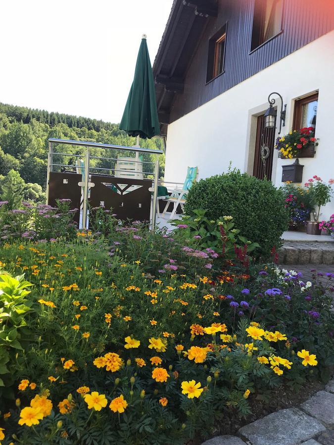 Apartmán Haus Mittelberg Olsberg Exteriér fotografie